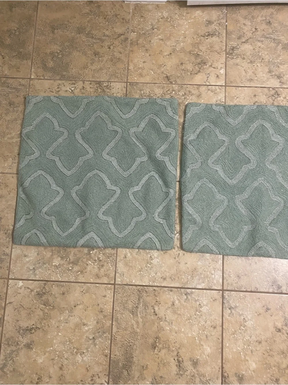 2 Pottery Barn Textured Beaded Sage Decorative Square Trellis Pillow Shams 19x19